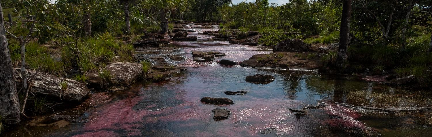 Cargue y Reporte de Información para Autoridades Ambientales